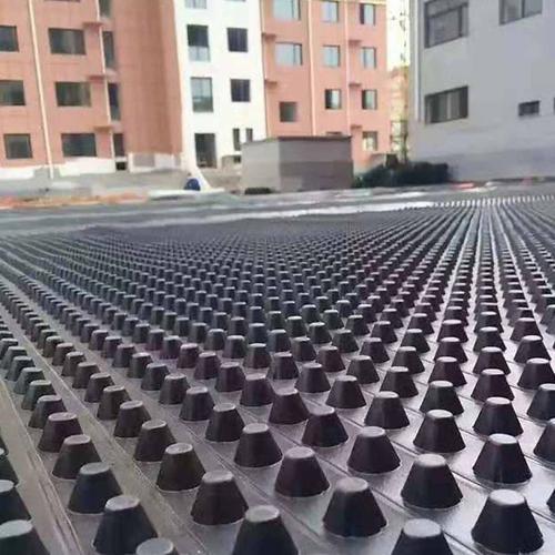 重庆屋顶花园排水板工厂发货